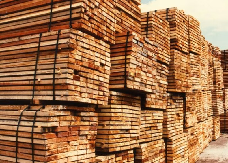 Corrientes impulsó sus exportaciones en el primer semestre lideradas por la madera y el arroz