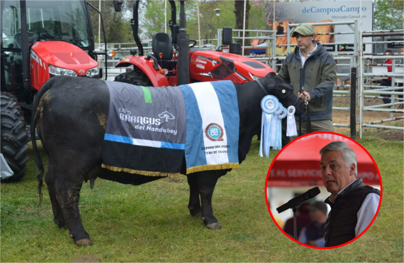 La Provincia ratificó su respaldo al sector productivo en la Rural de Curuzú Cuatiá