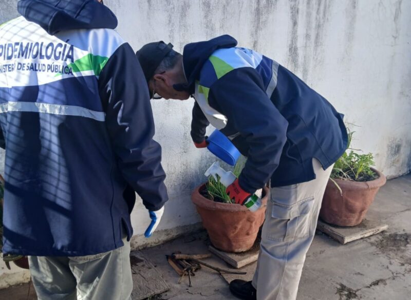 Salud intensifica el control vectorial y las capacitaciones contra el Dengue