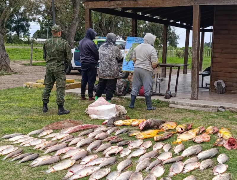 Detuvieron a tres hombres con más de 90 piezas de pesca ilegal en plena veda