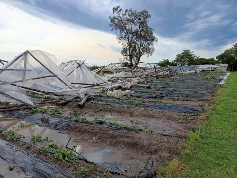 Un fuerte temporal azotó Lavalle y varias localidades del sur correntino