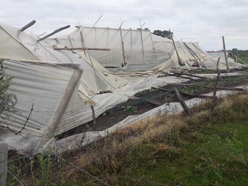 El temporal del viernes causó graves daños en los sectores productivos