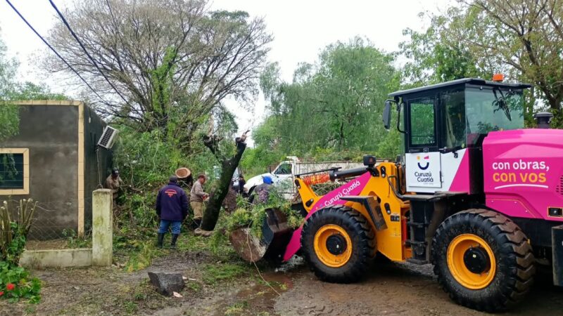 Temporal en Curuzú Cuatiá: retiraron más de 20 árboles caídos y asisten a familias