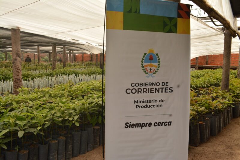 El Plan Palta distribuyó 2.000 nuevos ejemplares en el interior