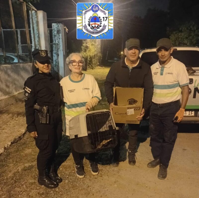 Operativo en el barrio Molina Punta: rescataron a 11 perros que vivían en condiciones precarias