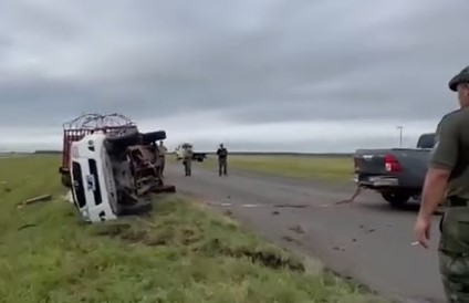 Autovía 14: volcó un vehículo que transportaba vacunos y advierten por animales en la ruta